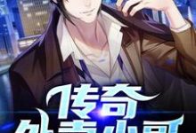 传奇外卖小哥小说的无弹窗阅读体验，寻找免费阅读网站-个性文学