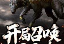 主人公叫张扬的小说哪里免费看-个性文学