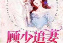 《顾少追妻三十六计》小说章节列表免费试读,宁珂顾予修穆婷婷小说在线阅读-个性文学