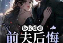 协议婚姻：前夫后悔放我走 沈识微萧寒声，协议婚姻：前夫后悔放我走最新章节-个性文学