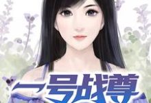 一号战尊小说的无弹窗阅读体验，寻找免费阅读网站-个性文学