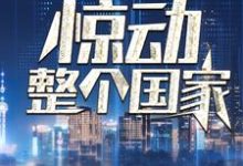 完结版《我一通电话，惊动整个国家》在线免费阅读-个性文学