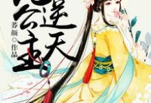 绝色妖娆：逆天九公主这本小说在哪里可以看？哪里有免费试读章节？-个性文学