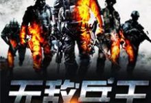 男女主人公叫唐龙谭维方仲海的小说免费资源-个性文学