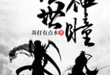 小说《绝世神瞳》章节免费阅读-个性文学