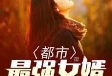 主人公叫李风苏沐晴的小说都市最强女婿在线阅读章节-个性文学