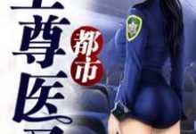 都市至尊医圣小说全文哪里可以免费看？-个性文学