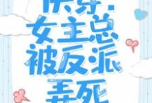 小说《快穿:女主总被反派弄死》章节阅读-个性文学