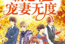 完结版《一见钟情:霸总他宠妻无度》章节阅读-个性文学