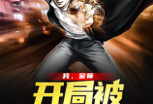 主角叫叶尘朵朵小说我，宗师，开局被直播曝光章节免费阅读-个性文学