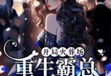 小说《开局火葬场,重生霸总追妻路漫漫》章节免费阅读-个性文学