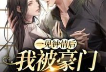 一见钟情后,我被豪门总裁强娶了江折雪宣郁小说免费阅读-个性文学