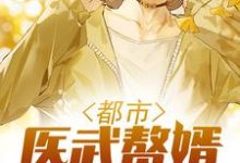 都市医武赘婿这本小说在哪里可以看？哪里有免费试读章节？-个性文学