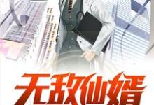 无敌仙婿小说的免费阅读版本在哪里可以找到?-个性文学