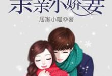 安歌陆乔琛陆宝贝小说《Boss凶猛之床咚小娇妻》在线阅读-个性文学