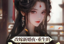 改嫁新婚夜，重生的亡夫回来了小说，改嫁新婚夜，重生的亡夫回来了章节在线阅读-个性文学