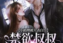 小助理被人表白！禁欲叔叔坐不住了夏之瑶沈砚辞在线章节免费阅读-个性文学