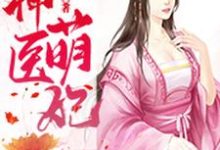 免费阅读苏沐蓉司徒骏苏沅芷苏霖为主角的小说,神医萌妃在线看-个性文学