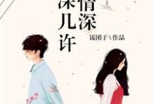 一往情深深几许小说阅读，一往情深深几许完结版-个性文学