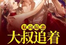 双向暗恋:大叔追着我不放小说全文阅读需要付费吗?寻找免费资源-个性文学