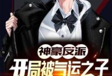 神豪反派:开局被气运之子戴绿帽小说的免费阅读版本在哪里可以找到?-个性文学