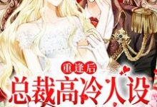 免费阅读陆时安孟御为主角的小说，重逢后，总裁高冷人设又立不住了在线看-个性文学