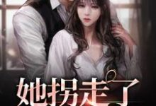免费在线阅读她拐走了清冷大佬小说的正规网站有哪些?-个性文学