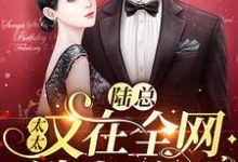 完结版《陆总,太太又在全网选老公了》免费阅读-个性文学