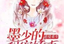 在线寻找逆境重生:墨少的甜宠娇妻小说的无删减版本-个性文学