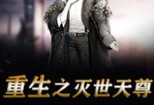 重生之灭世天尊免费阅读，重生之灭世天尊章节在线阅读-个性文学