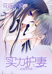 实力护妻小说有没有完结版在线？