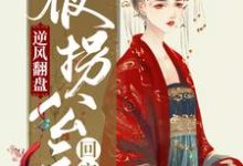 小说《逆风翻盘:被拐公主回宫记》章节免费阅读-个性文学