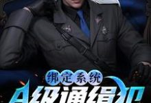 孙平安谢平小说在线章节免费阅读(绑定系统:A级通缉犯说抓就抓无弹窗无删减)-个性文学