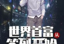 世界首富从签到开始小说有没有完结版在线?-个性文学