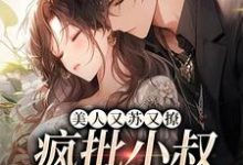 美人又苏又撩,疯批小叔甘作裙下臣小说全文哪里可以免费看?-个性文学