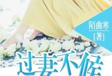 过妻不候小说的无弹窗阅读体验,寻找免费阅读网站-个性文学