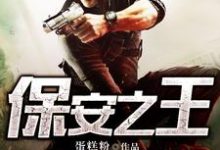 免费看保安之王小说的网站有哪些？-个性文学