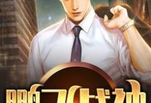 鹏飞战神小说的免费电子版在哪里可以下载或阅读？-个性文学