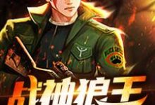 哪里能找到战神狼王小说的全部章节?-个性文学