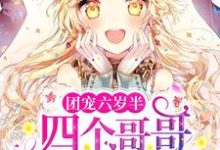 洛小莹陆华烨小说《团宠六岁半:四个哥哥举世无双》在线阅读-个性文学