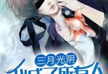 求推荐可以免费阅读三月光阴,我成了所有人的意难平小说的网站-个性文学