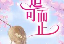 免费看适可而止小说的网站有哪些？-个性文学