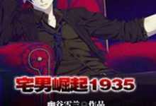 宅男崛起1935小说，宅男崛起1935在线阅读-个性文学