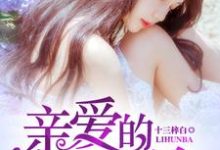 亲爱的,离婚吧小说有没有完结版在线?-个性文学