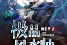 鲜于峰郝白唐林紫陌为主角的小说好看吗？求极品风水师免费试读-个性文学