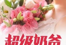 完结版《超级奶爸》章节目录在线阅读-个性文学