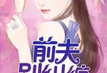 小说《前夫，别纠缠》章节免费阅读-个性文学