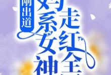 完结版《刚出道：妈系女神走红全网》章节目录在线阅读-个性文学