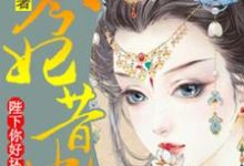 求推荐可以免费阅读今妃昔比：陛下你好坏小说的网站-个性文学