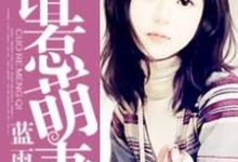 在线寻找苏宇桐左梵宇的小说，错惹萌妻免费阅读-个性文学